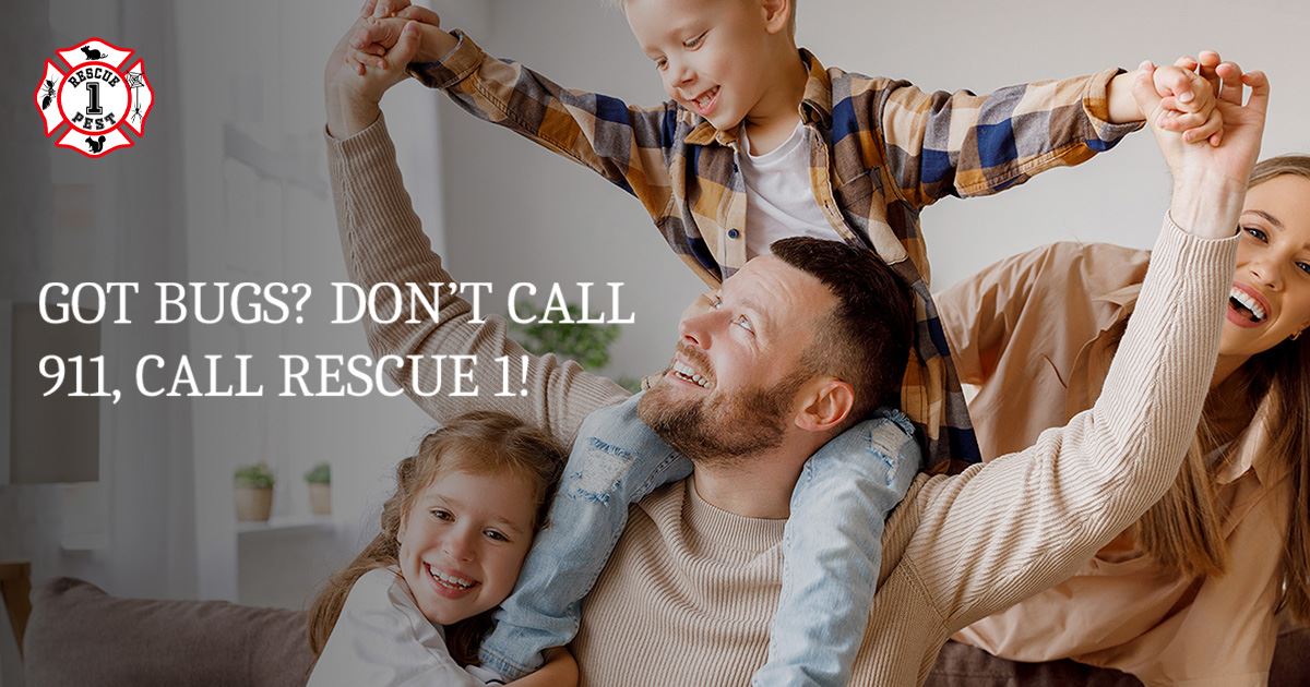 Rescue 1 Pest & Termite Control