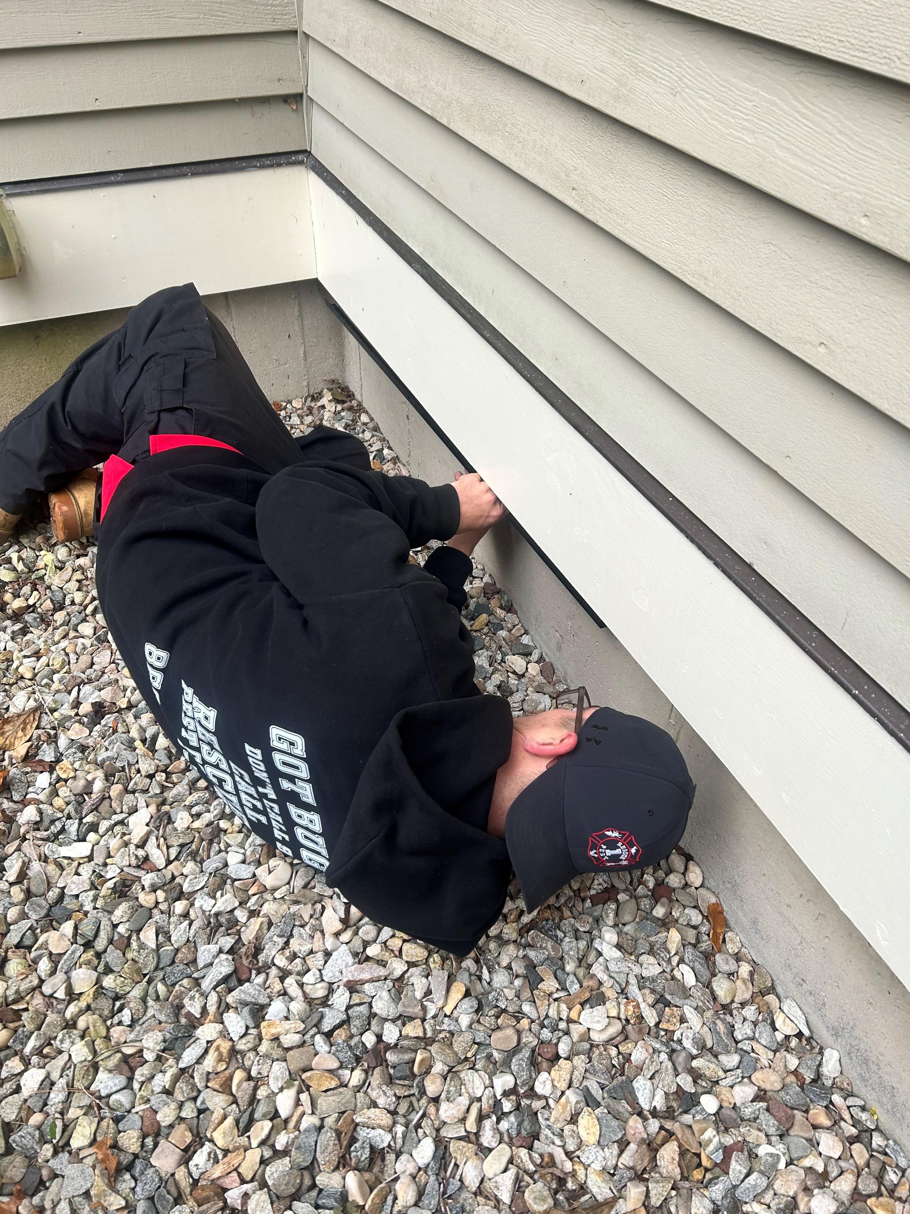 Installing Mouse Guard