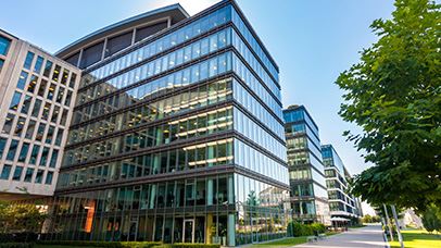 Commercial Pest Control